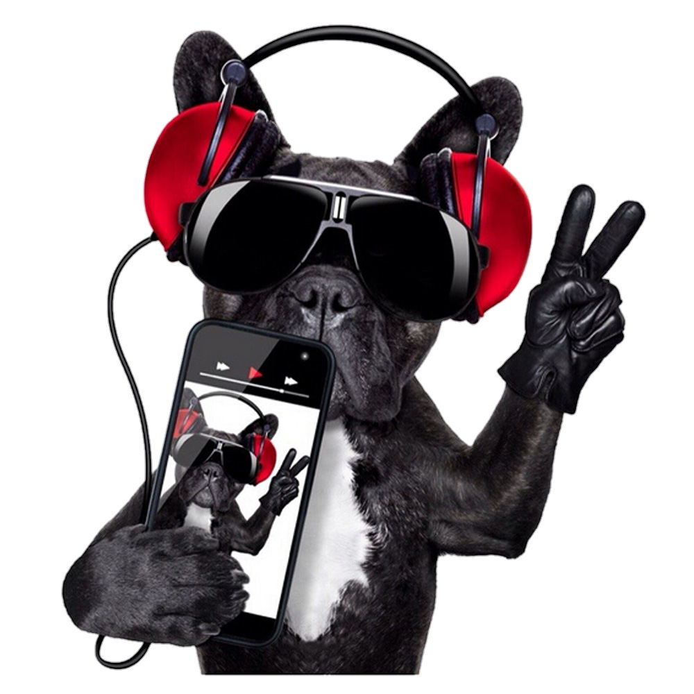 Rádio Líder Fm Povoado Índio